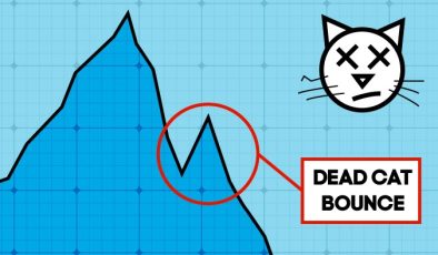 Dead Cat Bounce