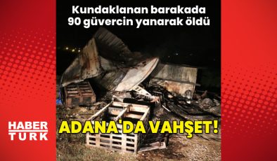 Kundaklanan barakada 90 güvercin yanarak öldü