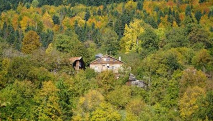 Küre Dağları’nda sonbahar görünümü: Renk cümbüşü ile hayran bırakıyor