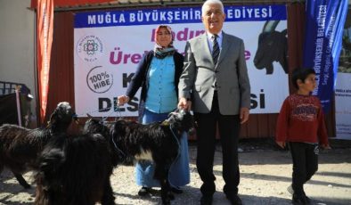 Muğla’da bayan üreticiye kıl keçisi dayanağı