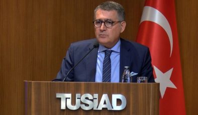 TÜSİAD Lideri: Regülasyonlarla bankaların kredi vermesi zorlaşıyor