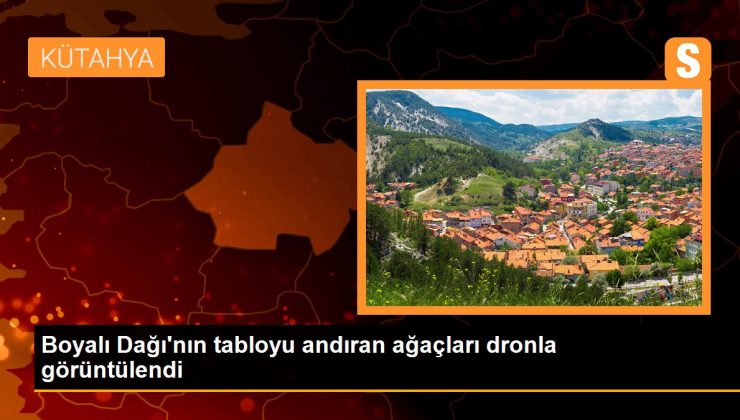 Boyalı Dağı’nın tabloyu andıran ağaçları dronla görüntülendi