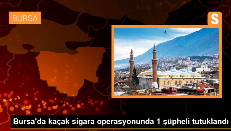 Bursa’da kaçak sigara operasyonunda 1 kuşkulu tutuklandı