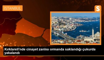 Kırklareli’nde cinayet zanlısı ormanda saklandığı çukurda yakalandı