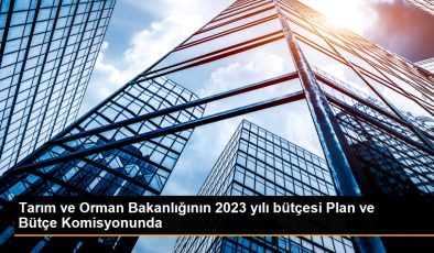 Tarım ve Orman Bakanlığının 2023 yılı bütçesi Plan ve Bütçe Kurulunda