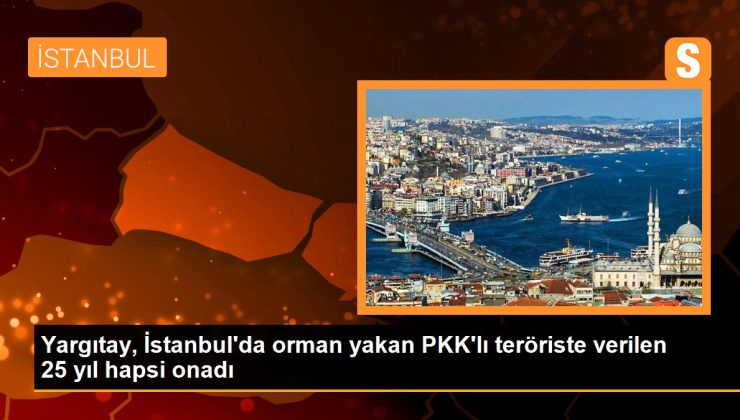 Yargıtay, İstanbul’da orman yakan PKK’lı teröriste verilen 25 yıl mahpusu onadı