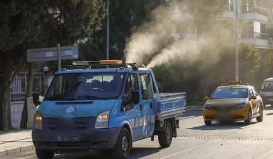 Buca Belediyesi, beyaz sineklere karşı ilaçlama başlattı