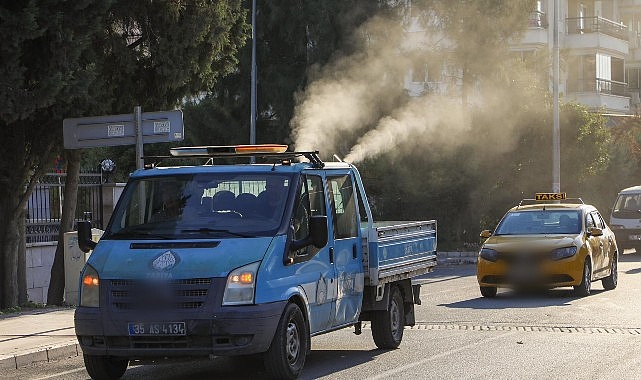 Buca Belediyesi, beyaz sineklere karşı ilaçlama başlattı